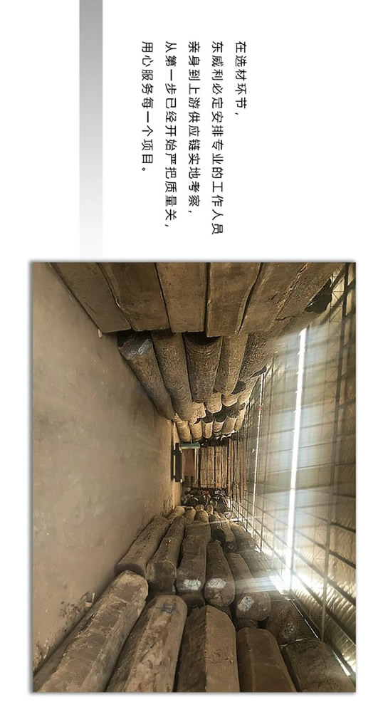 走進東威利整裝，探尋緬甸花梨