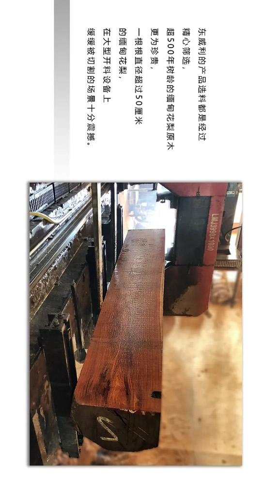 走進東威利整裝，探尋緬甸花梨