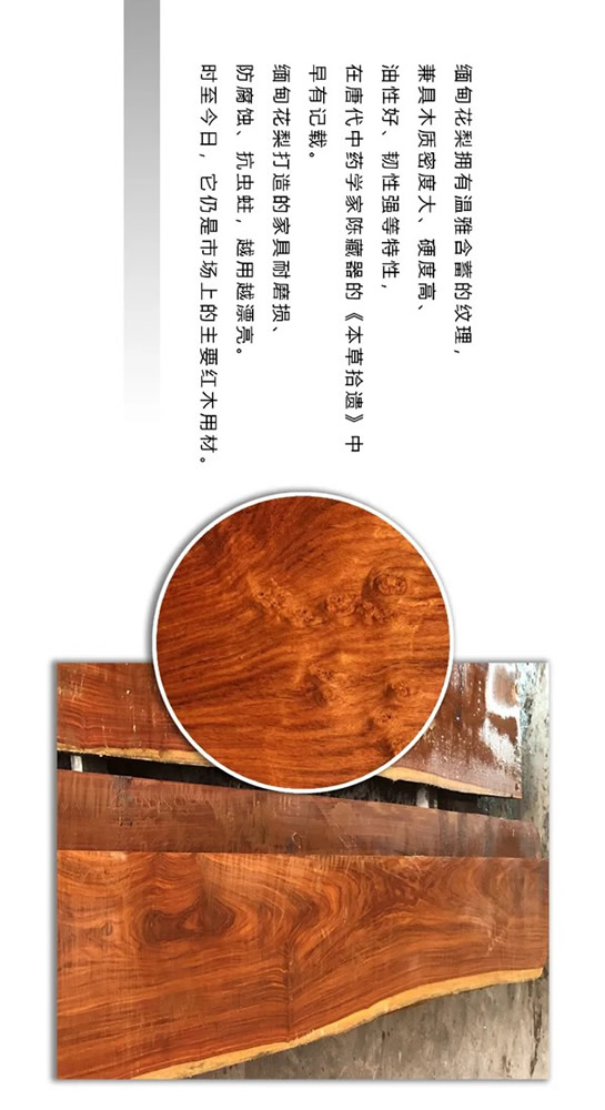 走進東威利整裝，探尋緬甸花梨