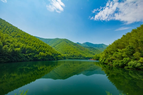 盈康世家木門：北緯30C°的竹木 守護家的安全
