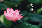 大暑已至，一一木門特制宅家指南送到！