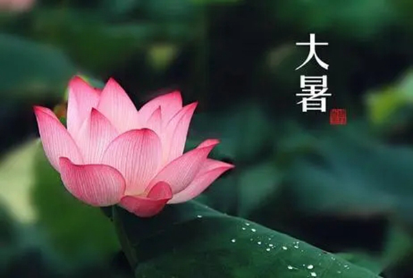大暑已至，一一木門特制宅家指南送到！