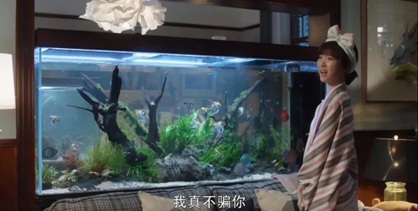 尚品本色：深挖鐘曉芹的家，隱形的“富豪”級房產！