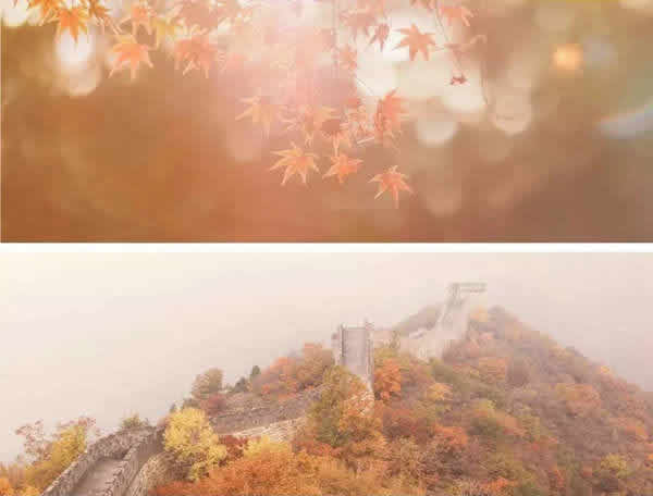 吾尋純木門：這個秋天，我“門”與你不期而遇！