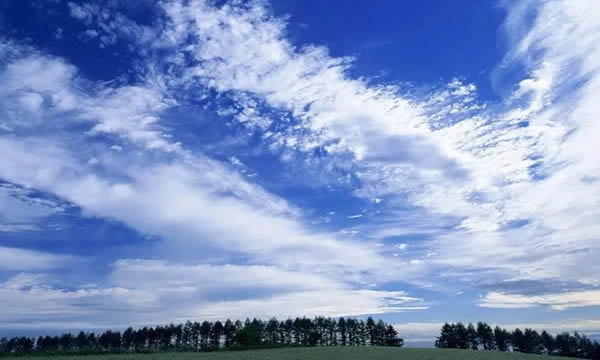 尚家木門：白門，是經典的再現，也是潮流的前瞻