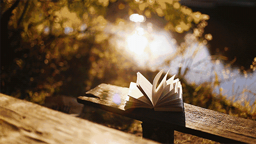 A8空間極簡定制：一茶、一書，一“室”界，至簡至美