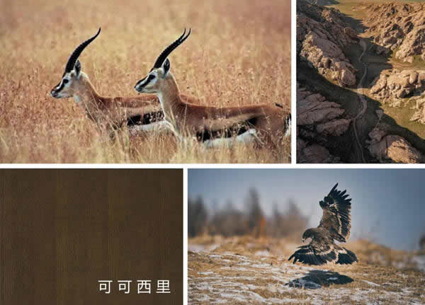 朗墅國際定制：可可西里的秋色，靜美如詩