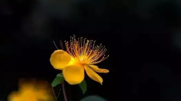 林源木門：轉眼間，秋分已至