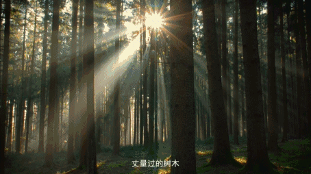 總統木門帶給你簡約安靜的氛圍