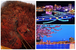 助力疫后經(jīng)濟(jì)發(fā)展，潤(rùn)成創(chuàng)展北方營(yíng)銷中心落戶延吉