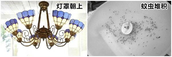 山杉木業(yè)：裝修時需注意的細節(jié)，從玄關(guān)到臥室都齊了！
