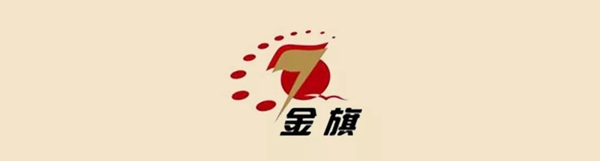 金旗整裝：高級輕奢，溫暖舒適