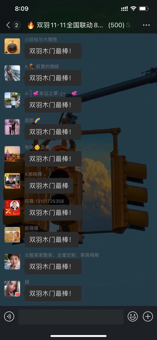 雙羽木門雙十一全國聯動優秀門店展示