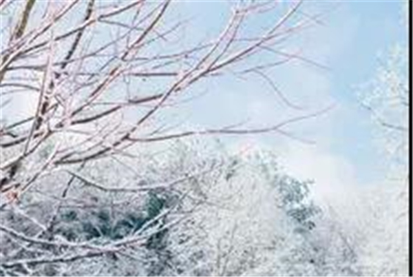 顧家木門(mén)丨最美的門(mén)還是家門(mén)