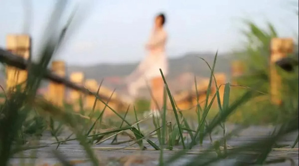 梵帝龍：2021將平凡變幻為高級，為家創作嶄新的詩篇