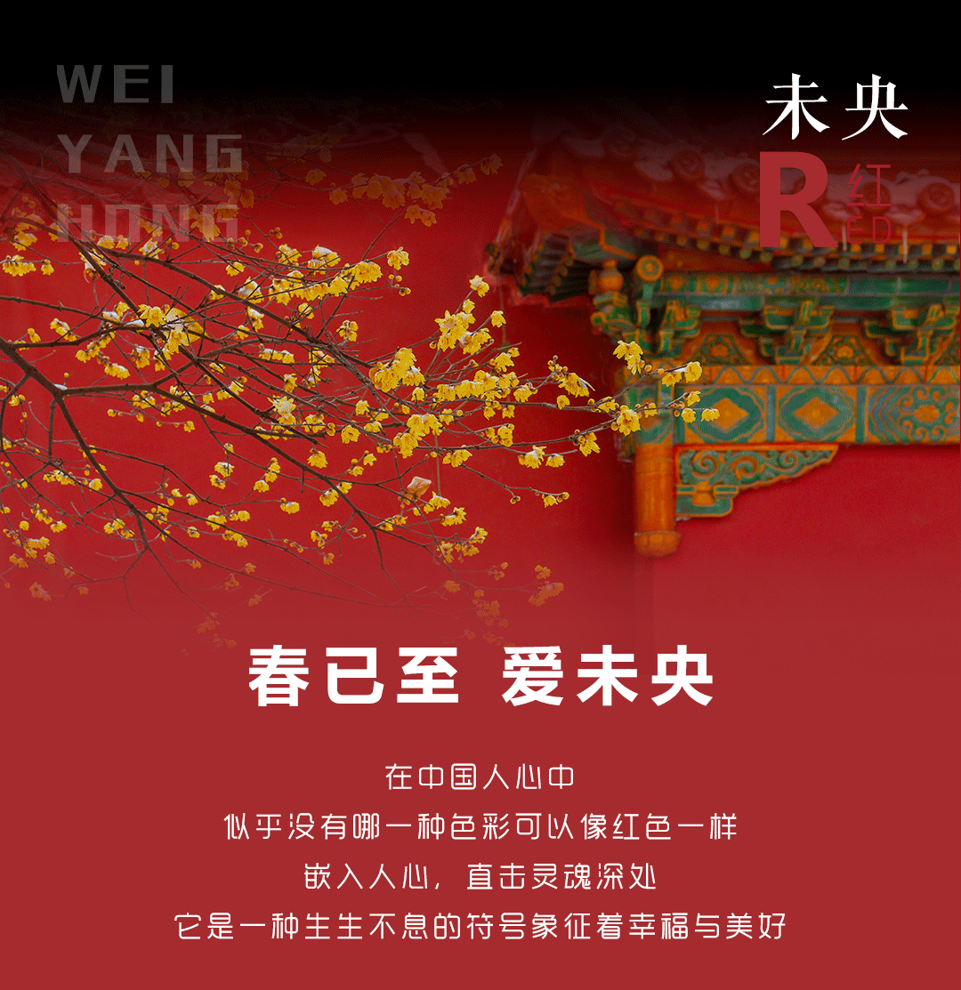 格林福木門帶你看彩色的高級