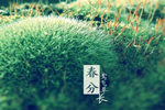 伊佳特木門，四季有春，春有朝晨