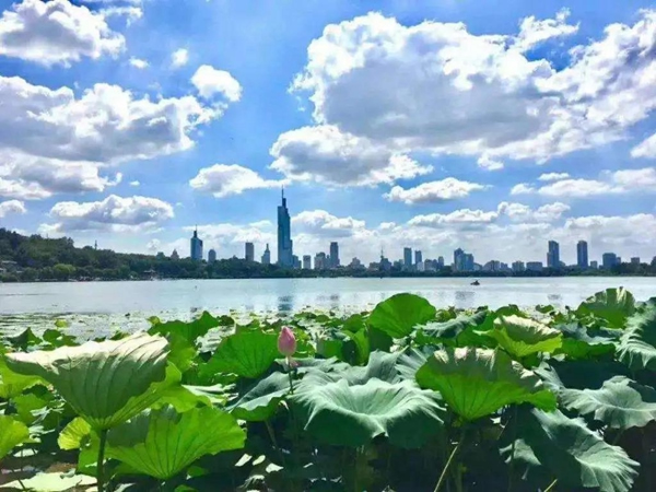 精藝木門免漆類產品，比重明顯提升