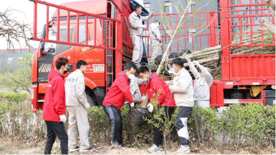 霍爾茨木門綠色植樹活動圓滿結束