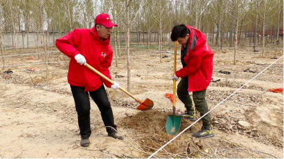 霍爾茨木門綠色植樹活動圓滿結束