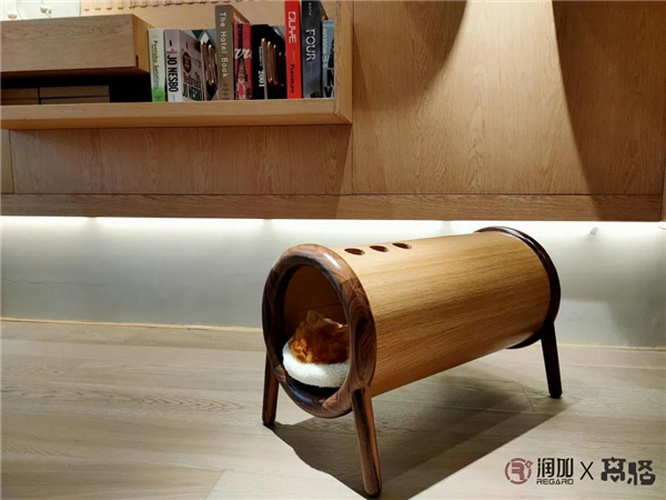 潤成創展：這只貓，竟然……賴在凳子上不走了！