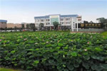 潤(rùn)成創(chuàng)展聯(lián)動(dòng)洛果商貿(mào)走進(jìn)新潤(rùn)成陶瓷參觀交流
