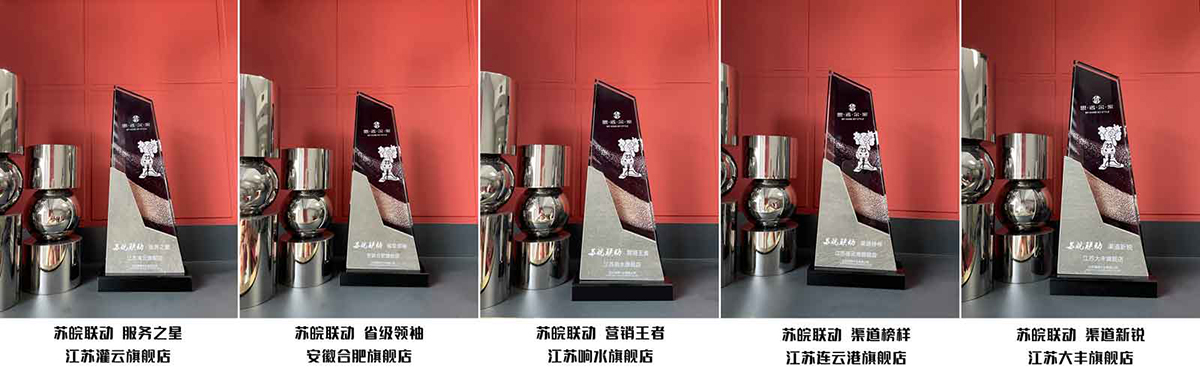 思諾爾家“蘇皖聯動，總裁價到”業績爭霸圓滿成功