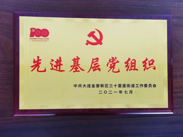 品橋T型木門|目光所至皆為華夏，五星閃耀皆為信仰