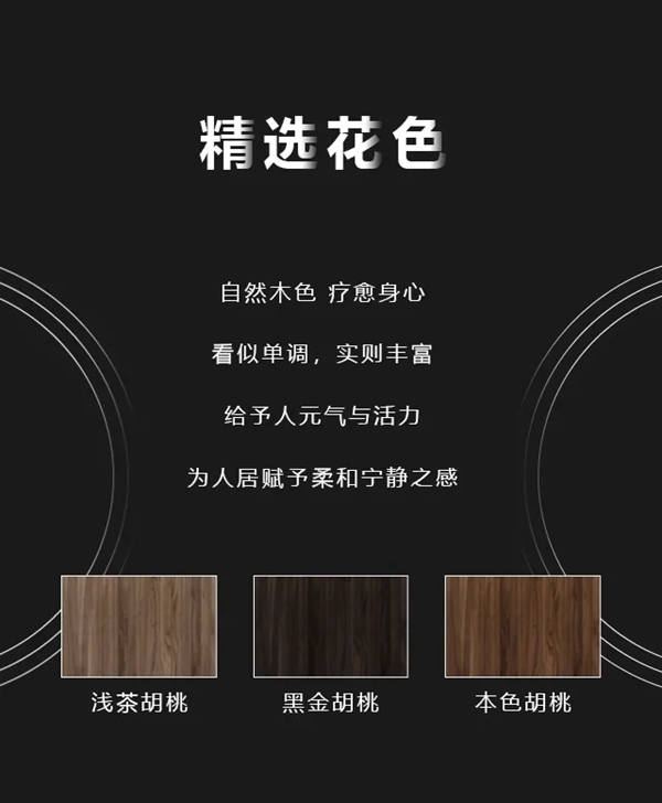 金牌木門新品駕到： 維也納3 溫潤(rùn)清影