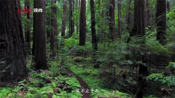 領尚木門 | 回歸本真，以居為安，質享寧靜