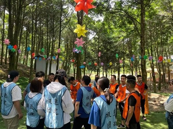 雙羽定制家多部門戶外拓展活動提升團隊戰斗力