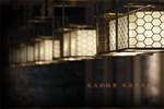 青島一木：詮釋恣意東方美學