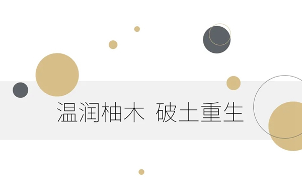 藝和高端門：怦然心動的莫蘭迪色