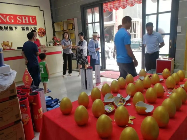 龍樹整屋門窗門業：爆發，源于19年的深耕!