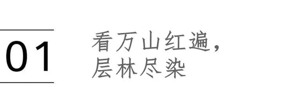 喬金斯整木定制：愛秋天，更愛家的秋意濃