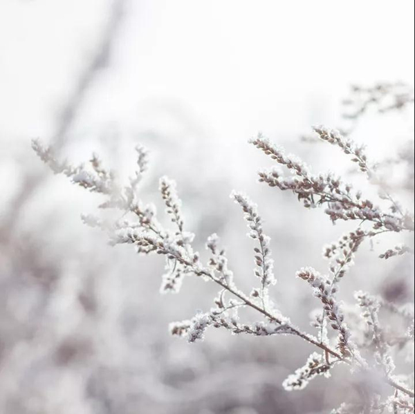 林源智慧家居 | 小雪將至，為您守護(hù)舒適溫暖家！