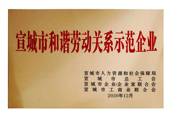 順心家居榮獲“宣城市和諧勞動(dòng)關(guān)系示范企業(yè)”榮譽(yù)