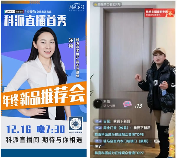 科派木門