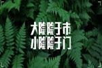金迪木門：讓家里的日常生活也變得充滿驚喜