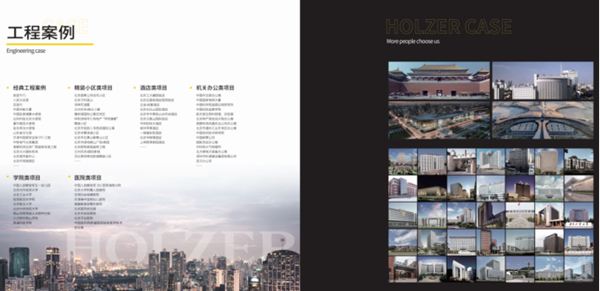 霍爾茨20年：揚國企擔當，成創新之業