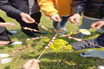 蔓茲堡天然系木門團建回顧丨一路同行 不負時光