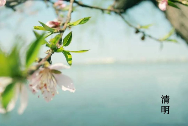 蔓茲堡天然系木門 | 清明時(shí)節(jié)祭親友，致敬緬懷再前行
