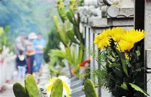 蔓茲堡天然系木門 | 清明時(shí)節(jié)祭親友，致敬緬懷再前行