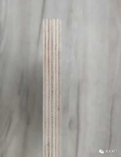 天大門(mén)業(yè)