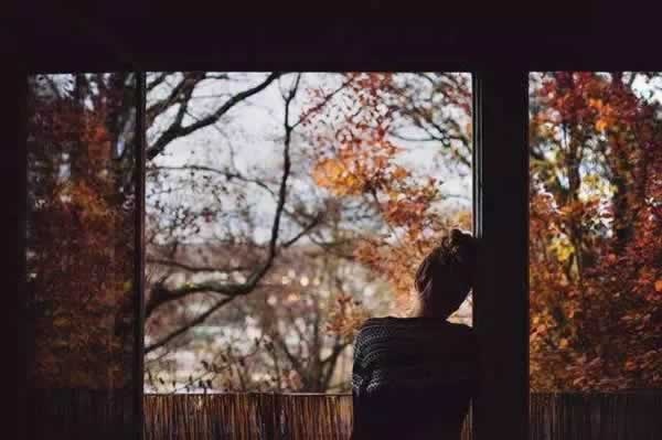 馨雅致木門