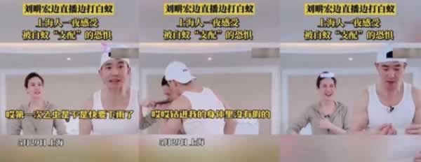 寶格潤木門