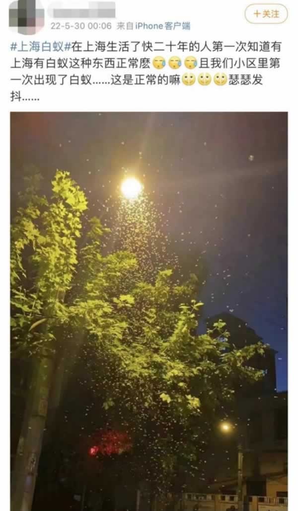 寶格潤木門