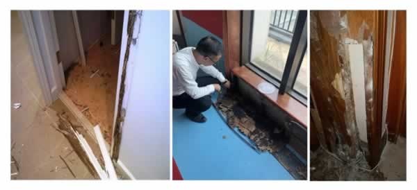 寶格潤木門