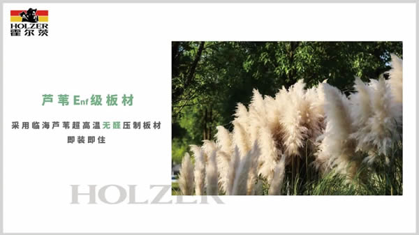 展現強大品牌實力，霍爾茨精彩亮相中國建博會（廣州）