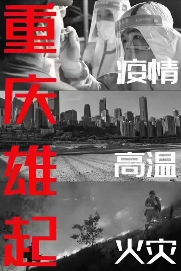 科派木門